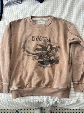 Brown Crewneck Sweatshirt